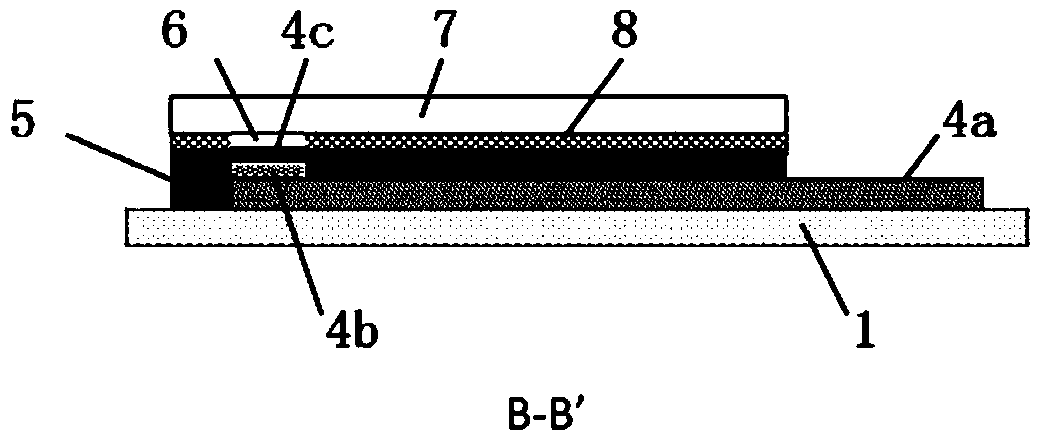 Graphene-modified lactic acid biosensor and preparation method thereof