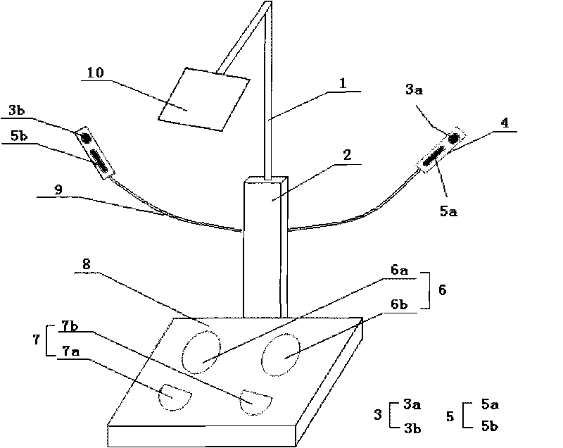 Multi-parameter human body function detecting device and detecting method thereof