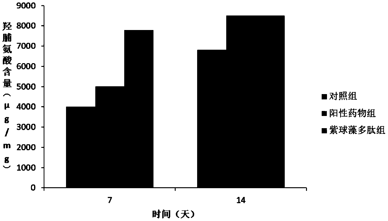 Composition containing porphyridium polypeptide and preparation method of composition