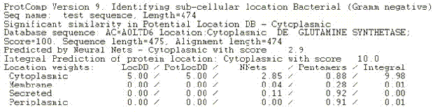 Micrococcus glutamine synthetase gene, and encoding protein and clone method thereof