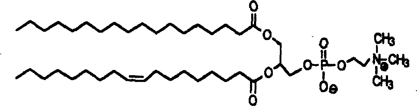 Oral taking preparation for aesthetic health care and preparation method