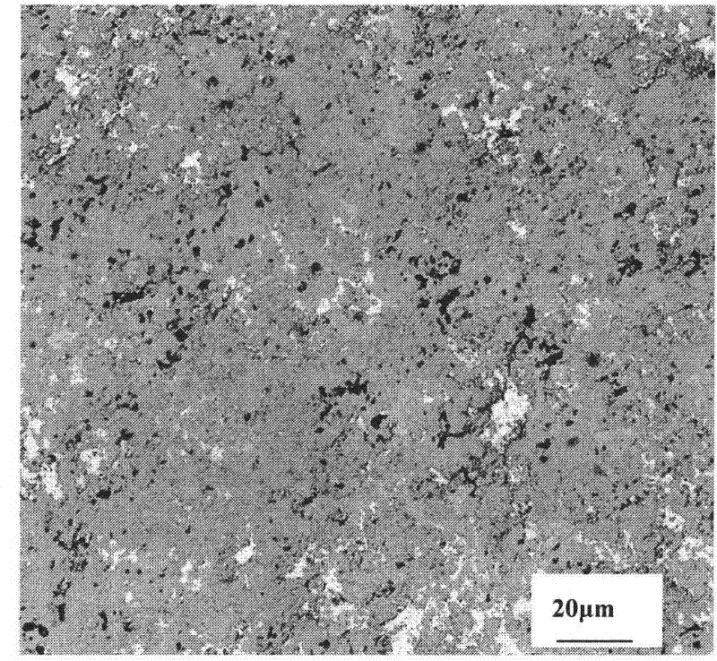 Wear resistant self-lubricating coating for brush type sealed track and preparation method thereof