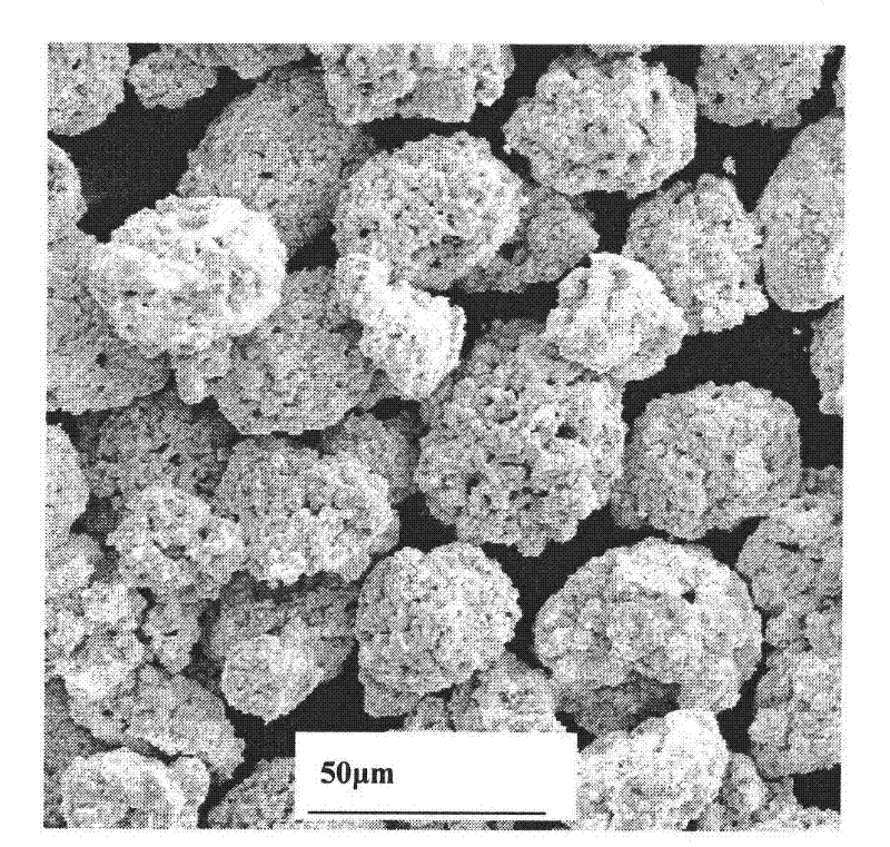 Wear resistant self-lubricating coating for brush type sealed track and preparation method thereof