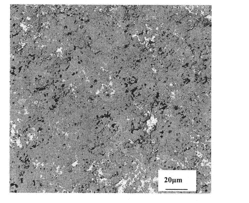 Wear resistant self-lubricating coating for brush type sealed track and preparation method thereof