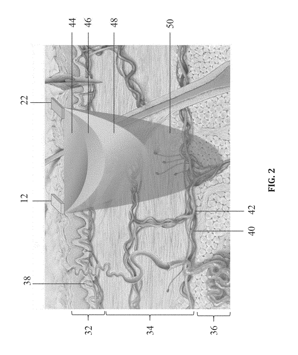 Method for Measuring Cardiovascular and Respiratory Parameters Based on Multi-Wavelength Photoplethysmography