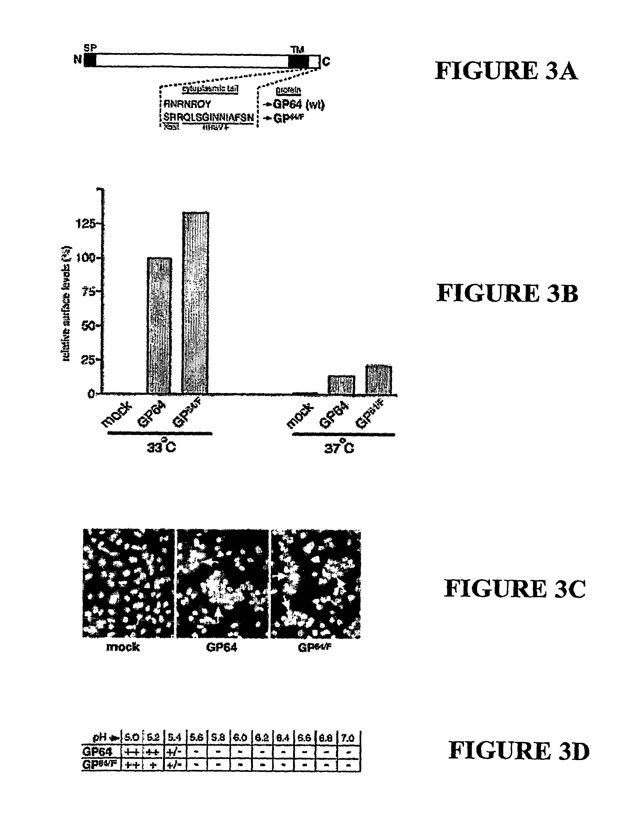 Recombinant viruses of the paramyxoviridae family with heterologous envelope glycoproteins