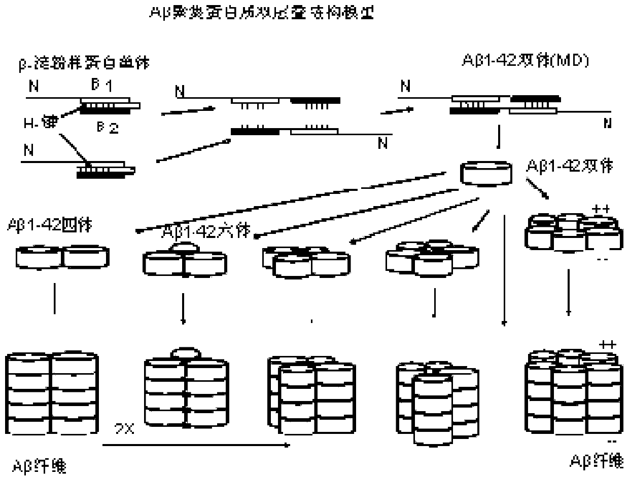 Polypeptide drug for treatment of alzheimer's disease