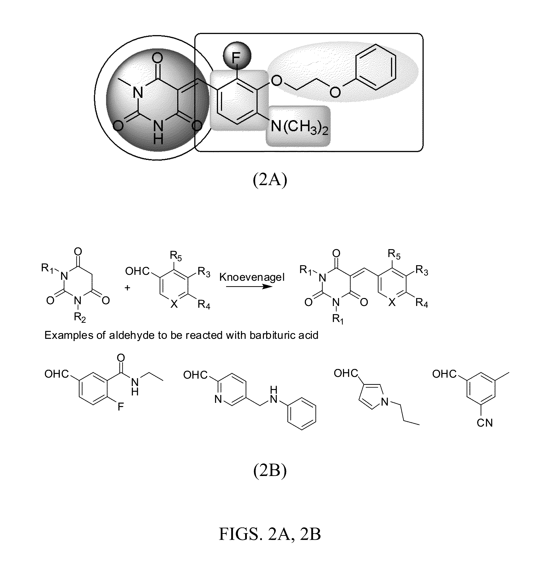 C-rel inhibitors and uses thereof