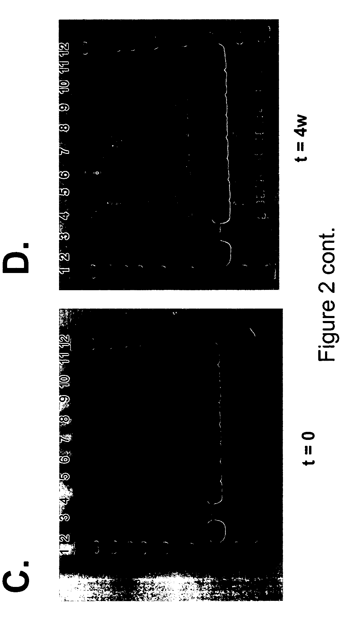 Formulations of human growth hormone comprising a non-naturally encoded amino acid at position 35