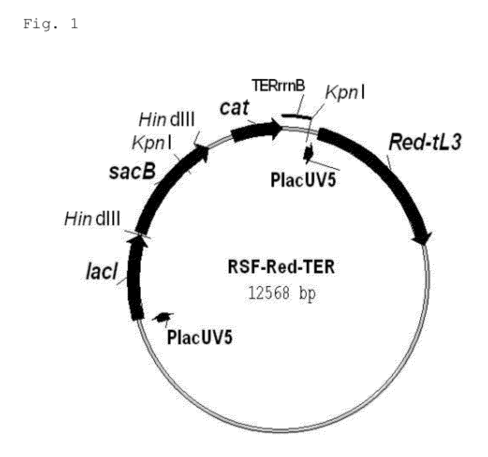 Method for producing an organic acid