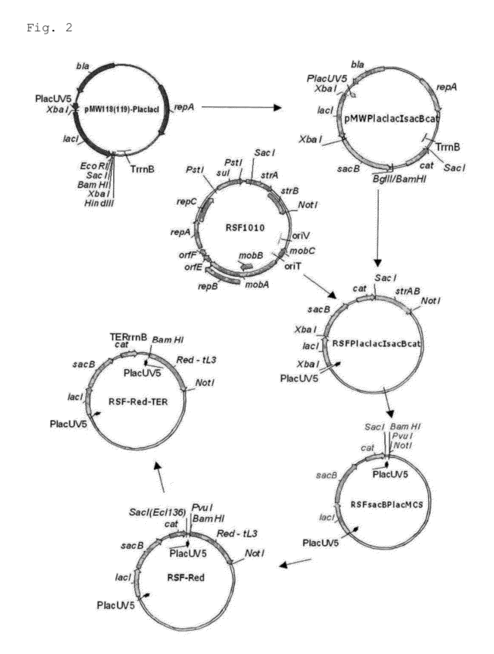 Method for producing an organic acid