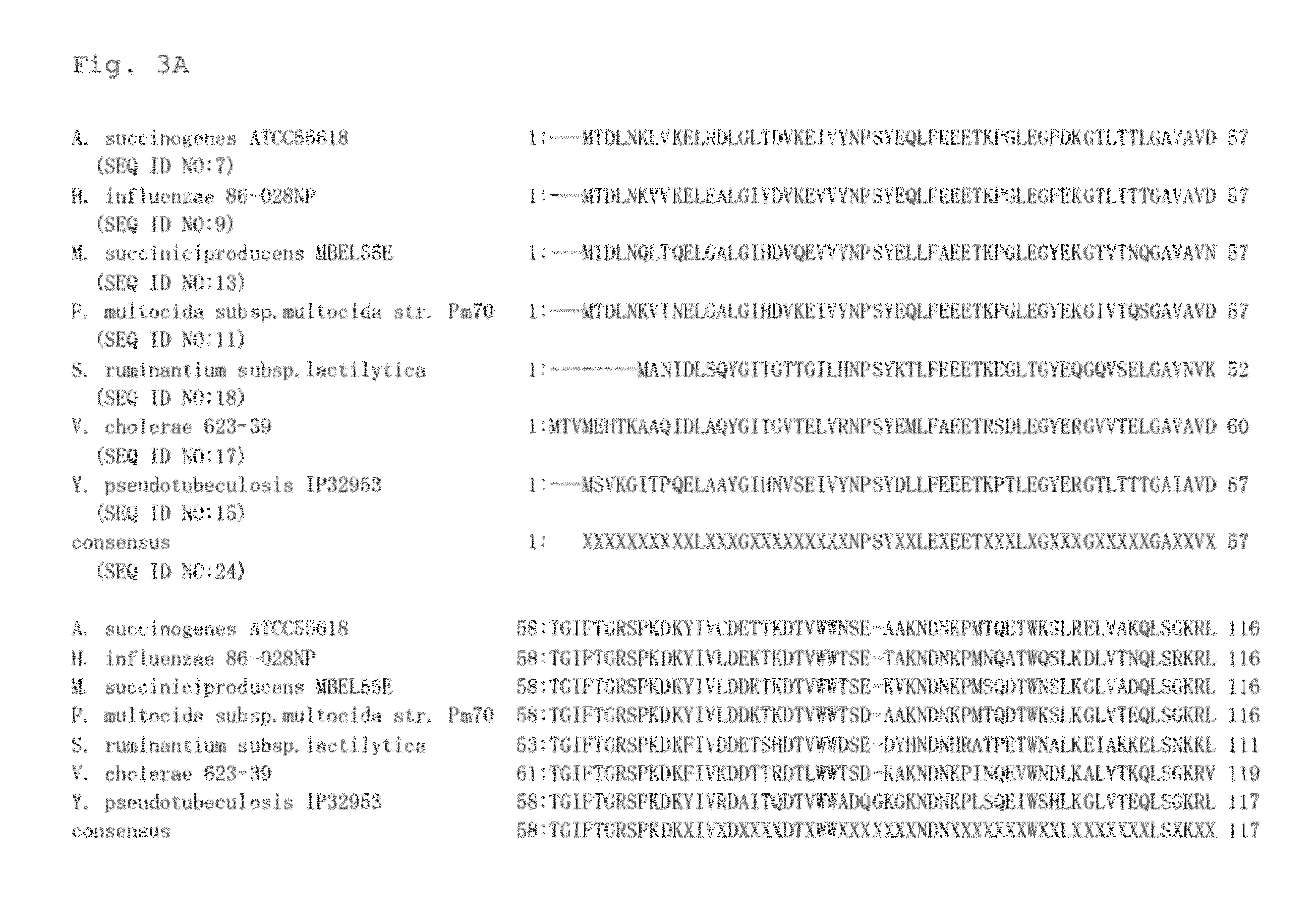 Method for producing an organic acid