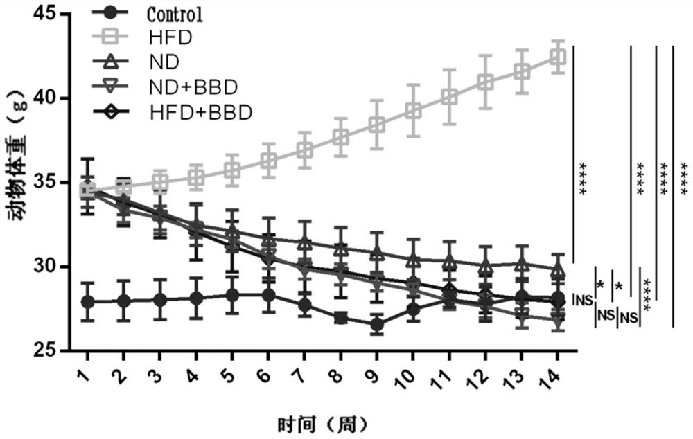 Application of Babaodan in the preparation of medicine for treating obesity