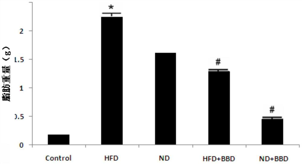 Application of Babaodan in the preparation of medicine for treating obesity