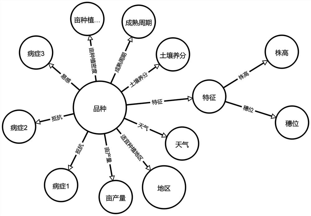 Corn seed selection and precise sowing decision-making method combined with knowledge graph