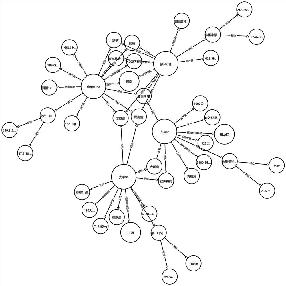 Corn seed selection and precise sowing decision-making method combined with knowledge graph