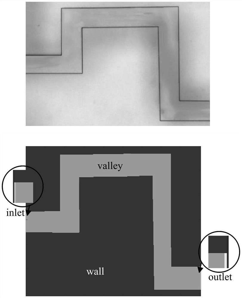 LBM computational domain planning method based on image recognition