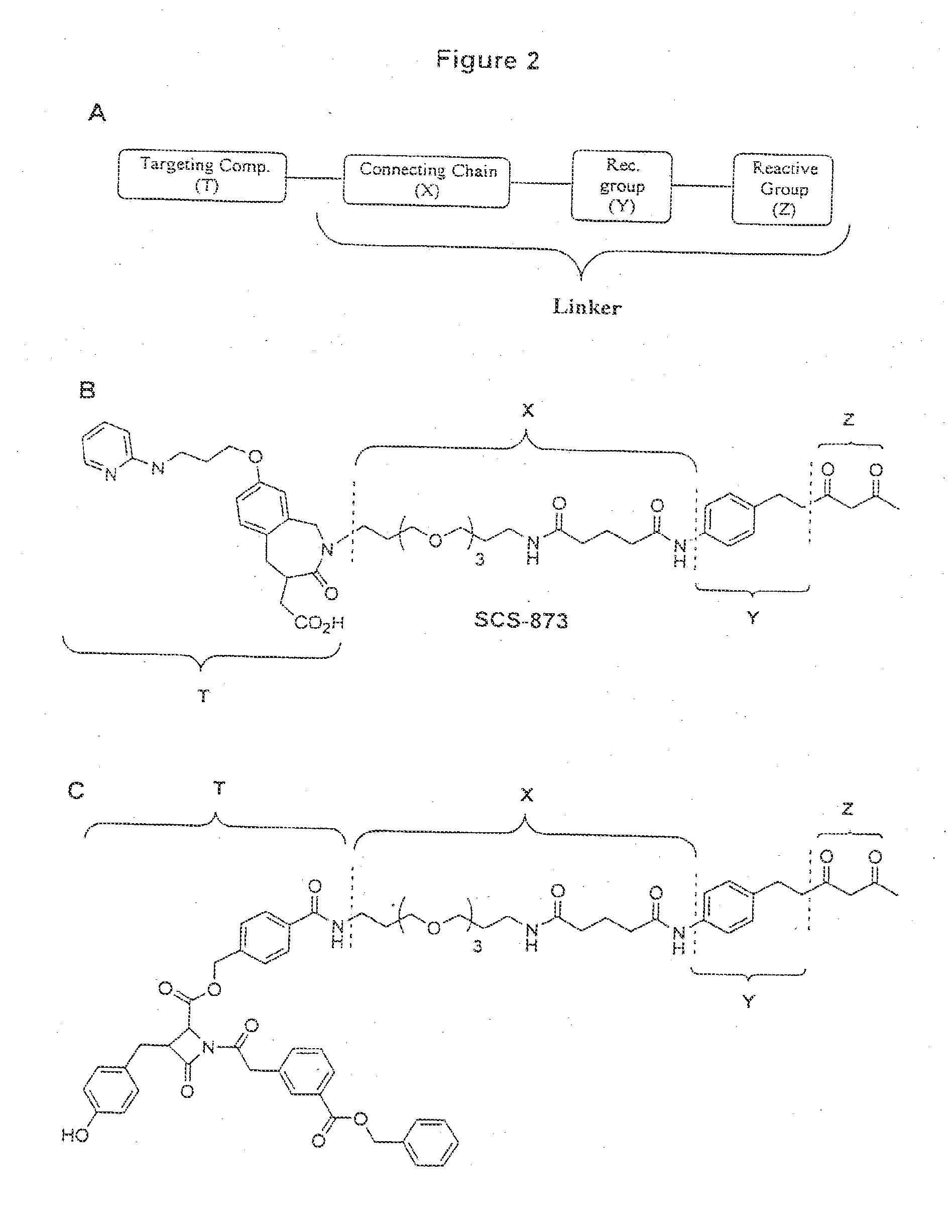 Targeting compounds