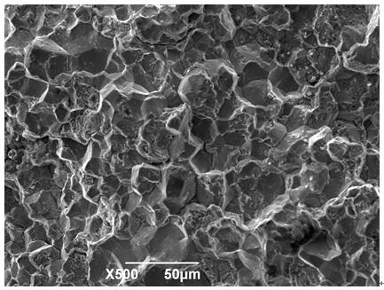 Spring steel austenite grain size detection method