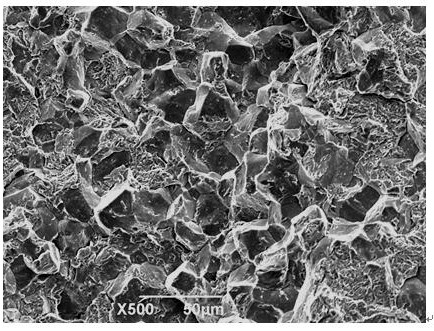 Spring steel austenite grain size detection method