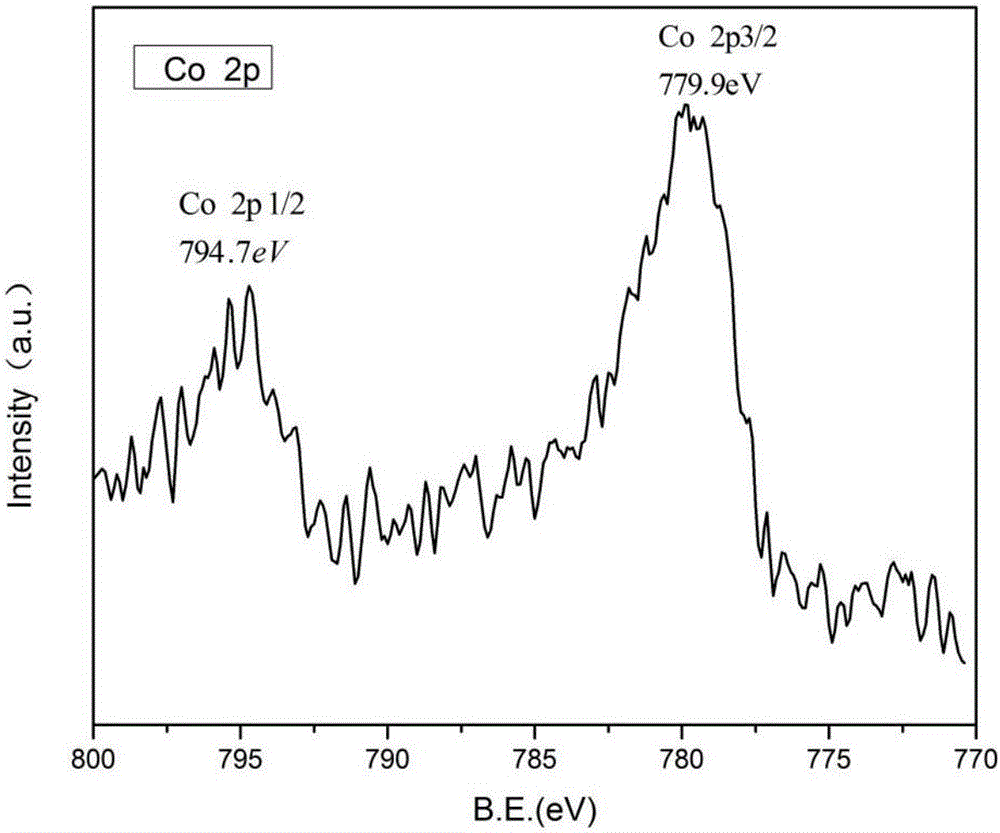 Non-noble metal photocatalysis cocatalyst and preparation method thereof `