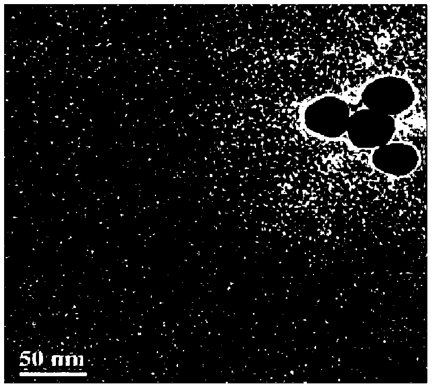 Dynamic photoacoustic characteristic spectrum nondestructive glucometer based on nano marker and preparation method of nano marker