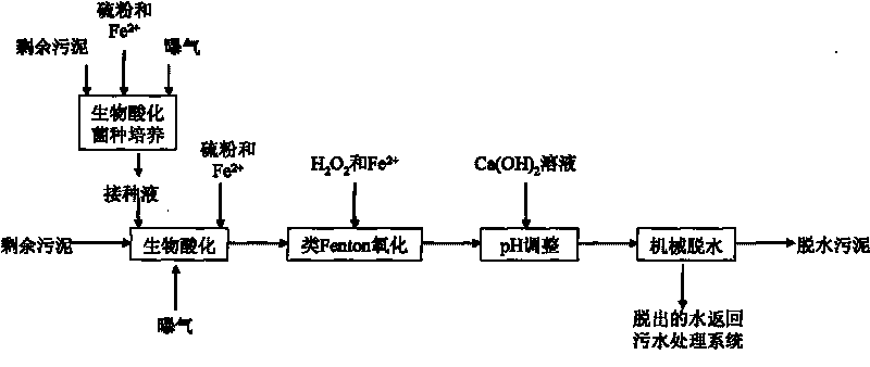 Method for improving dewatering performance of excess sludge by combining biological acidification and Fenton-like oxidation