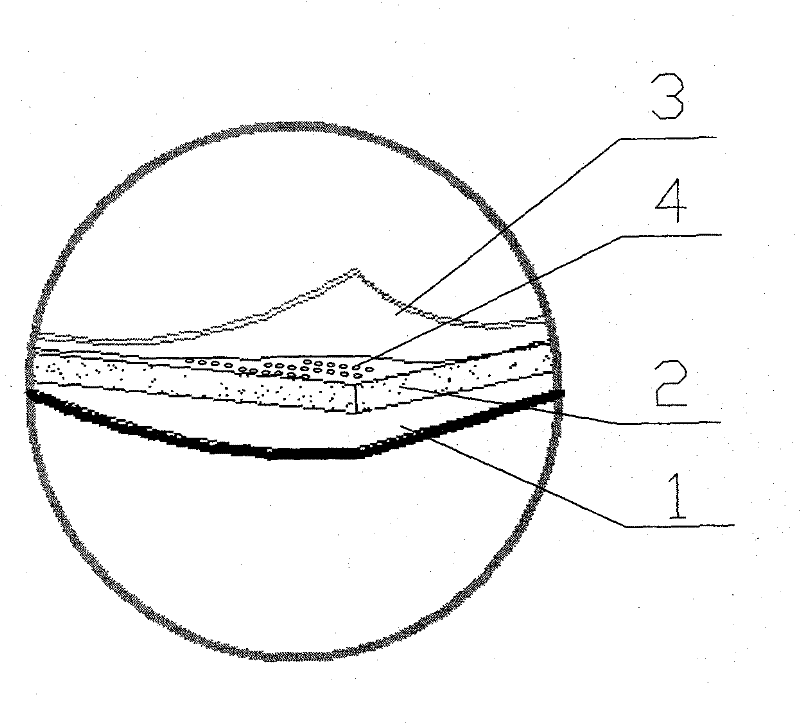 Sound absorbing decorative gypsum board and production method thereof