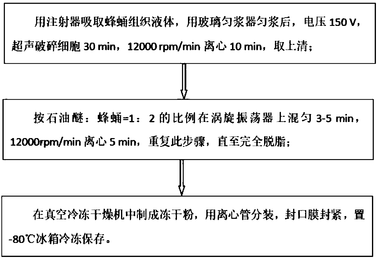 Honeybee pupae extract and application in protecting against cisplatin induced kidney injury