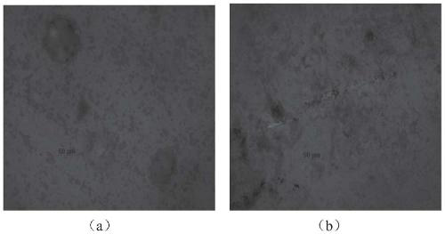 High-wear-resistance Cu-SiC grinding tool material for ceramic-glass grinding and preparation method thereof