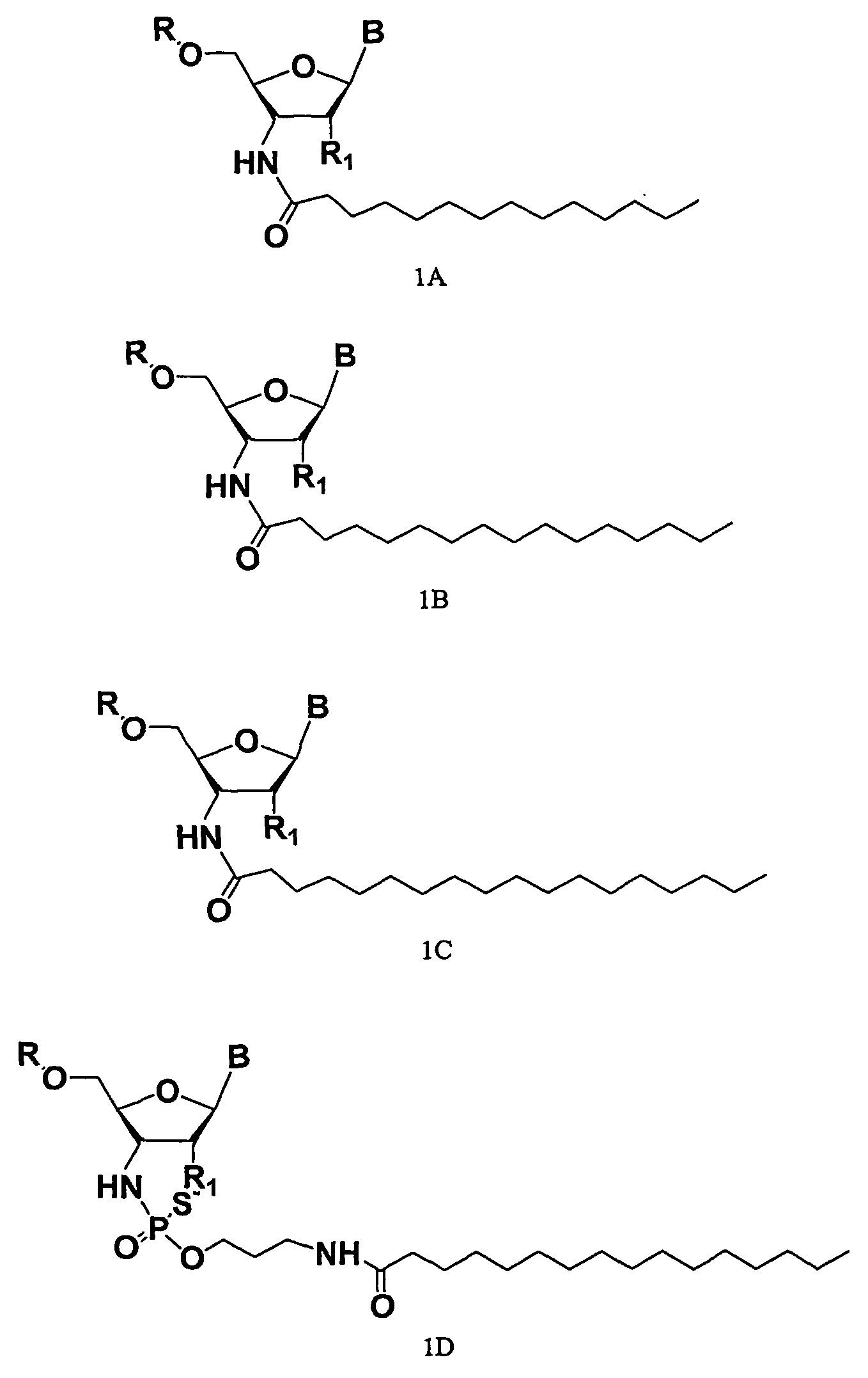 Rna Amidates and Thioamidates for Rnai