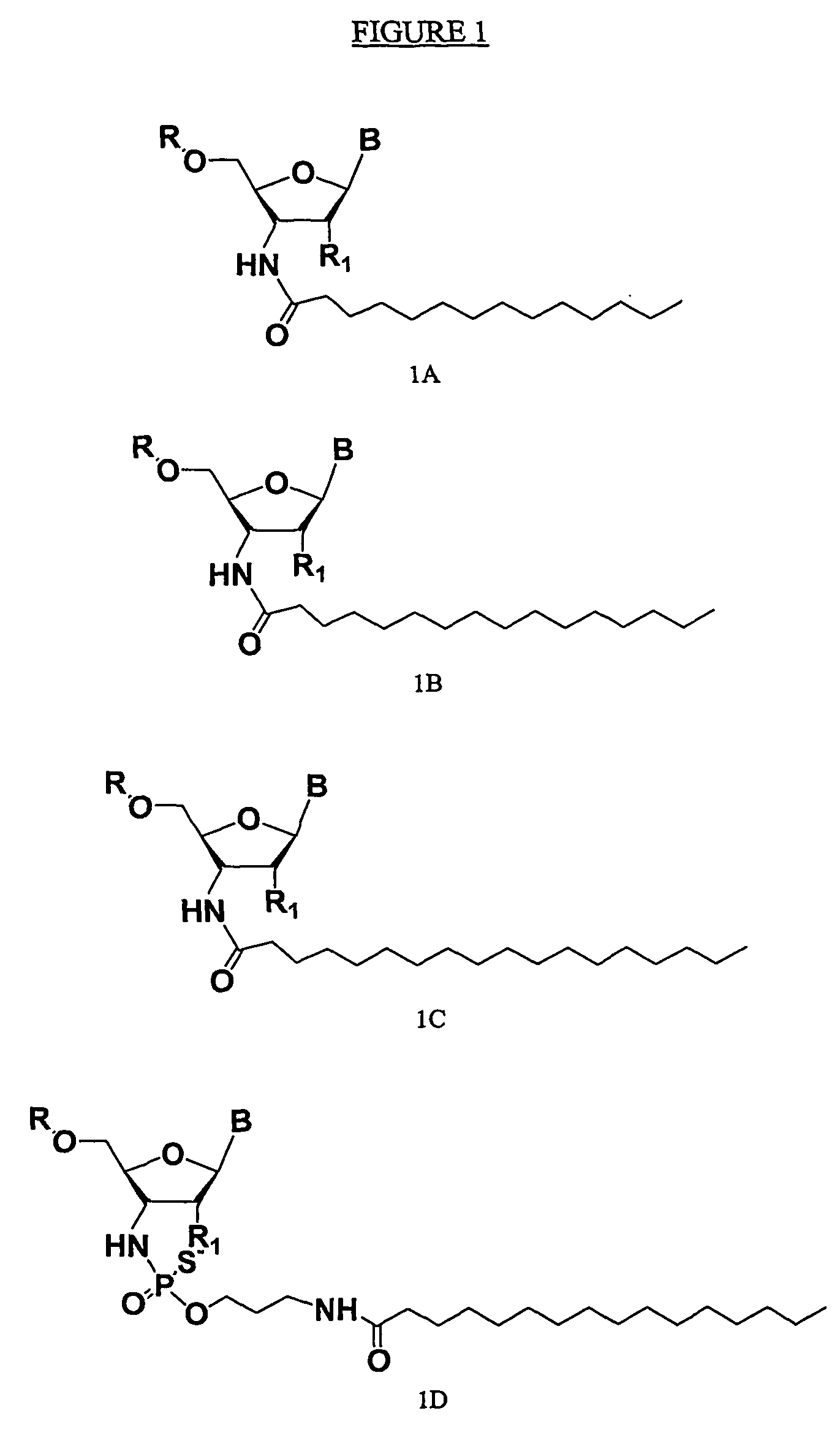 Rna Amidates and Thioamidates for Rnai