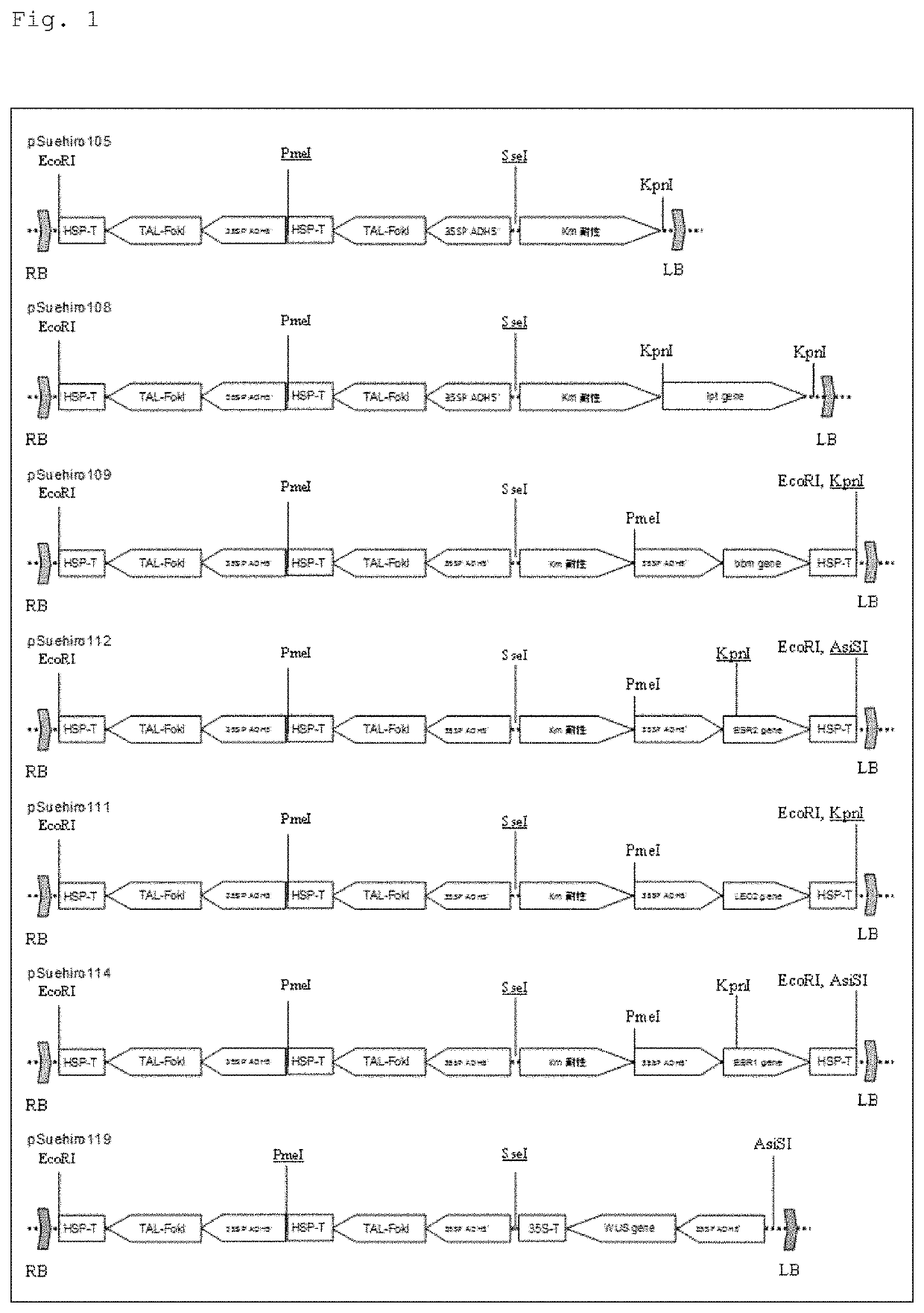 Genome-edited plant production method