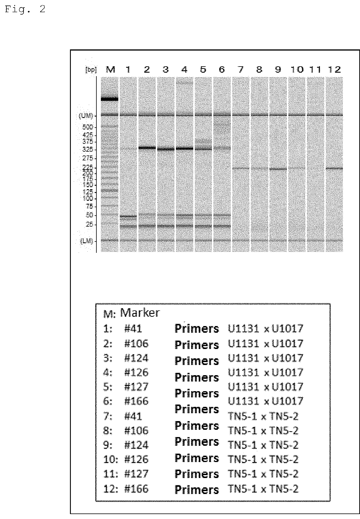 Genome-edited plant production method