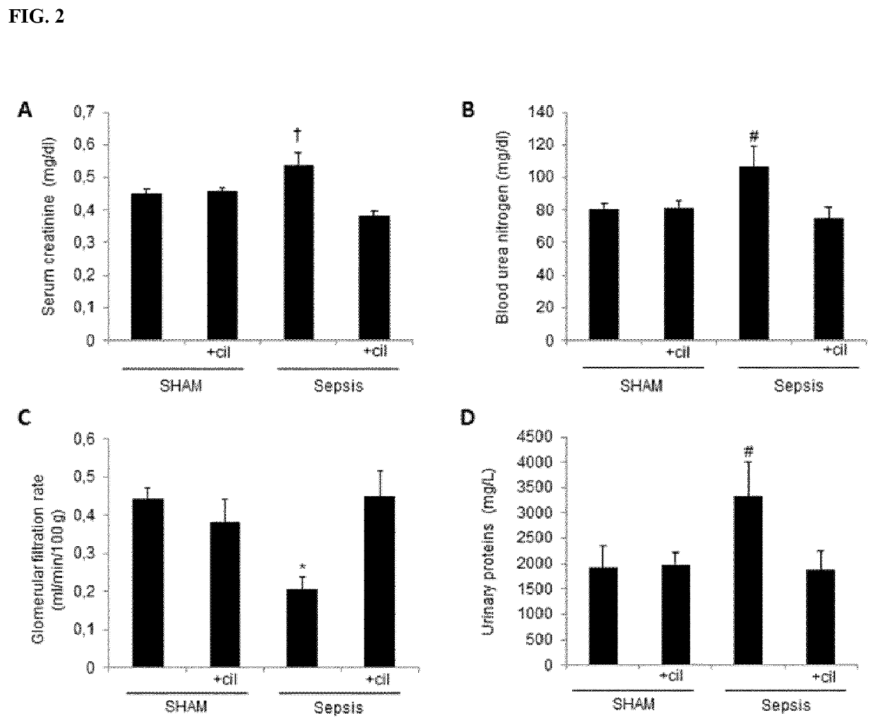 Cilastatin for use in the treatment of sepsis