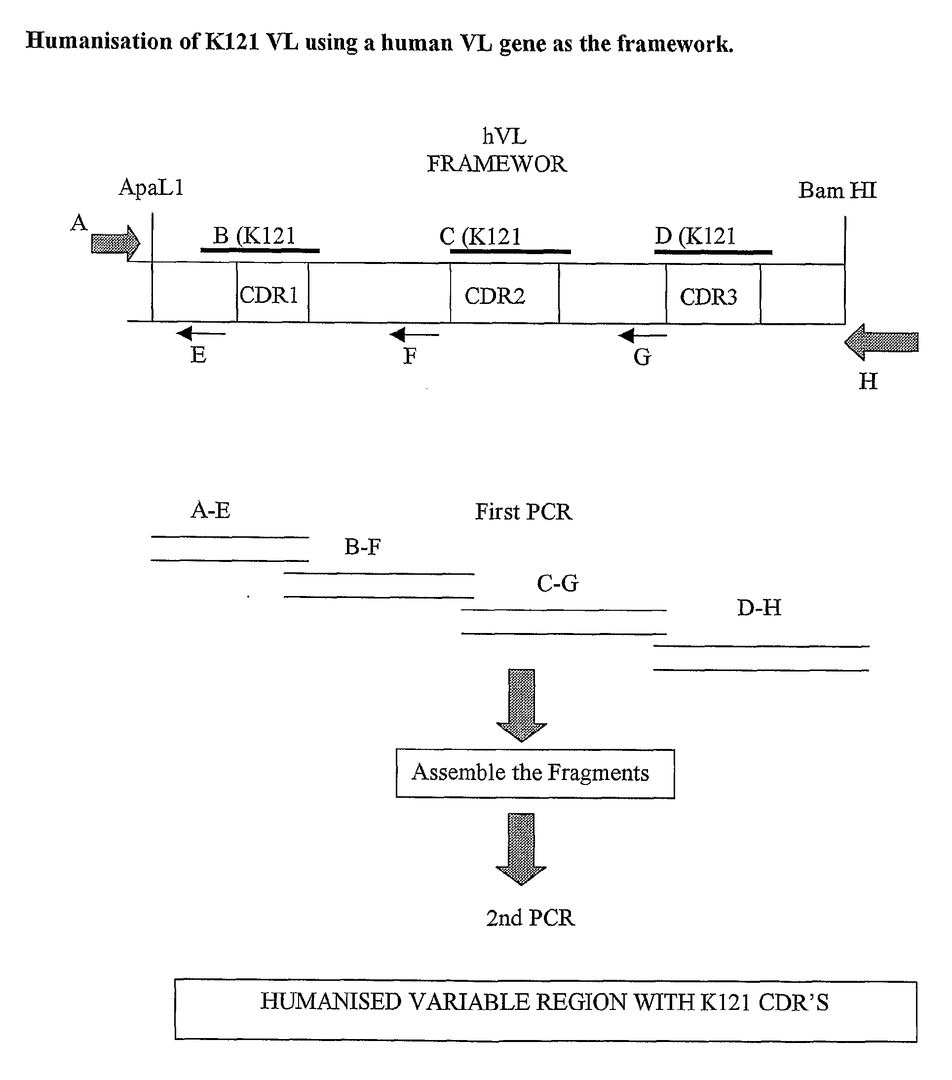 Method for treating multiple myeloma