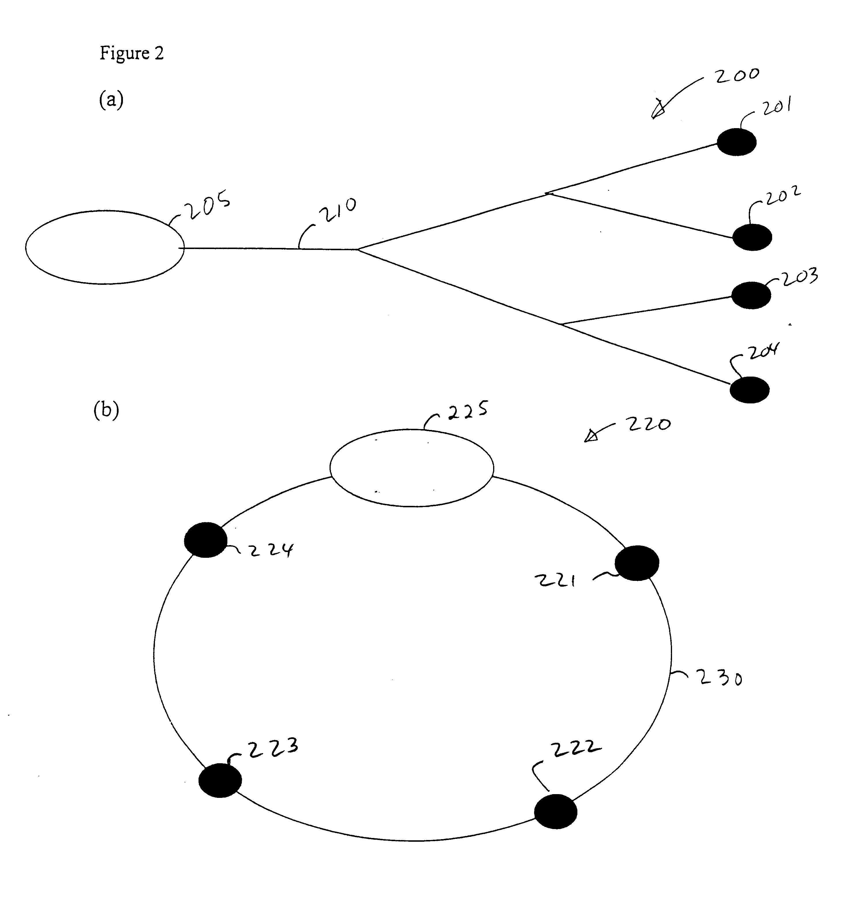 Code-switched optical networks