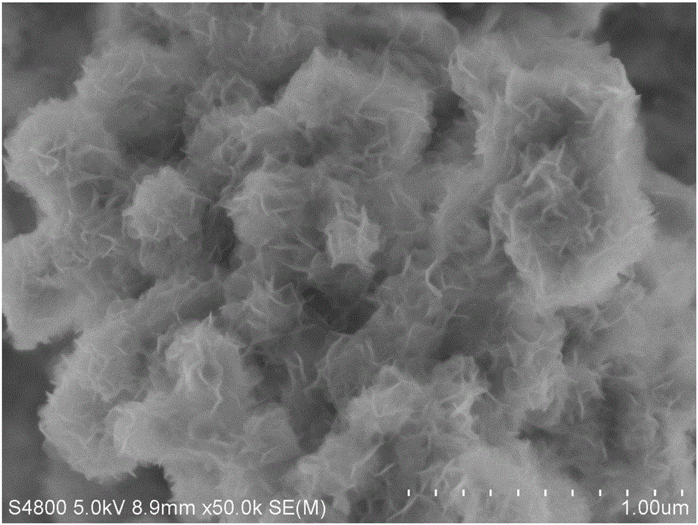 Efficient and porous MoS2-Zn hydrogen evolution electrode and preparation method thereof