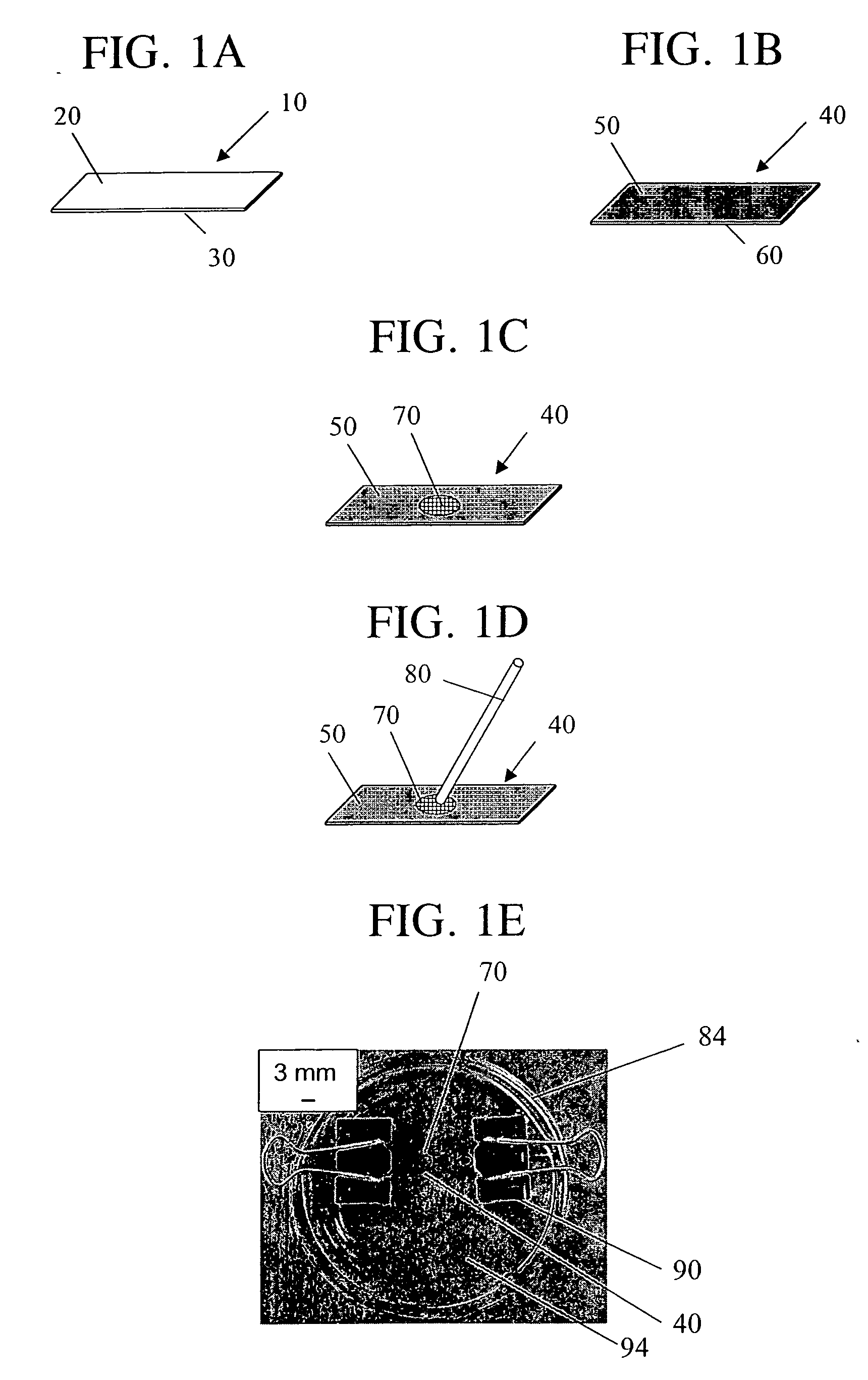 Detecting interactions at biomimetic interfaces with liquid crystals