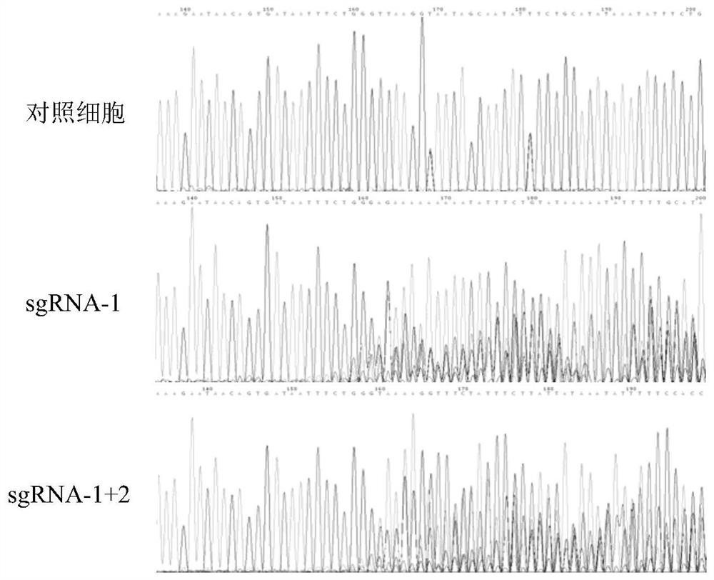 Intron abnormal splicing repair method