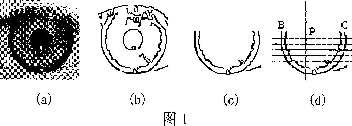 Colorful contact lens false-proof detection method