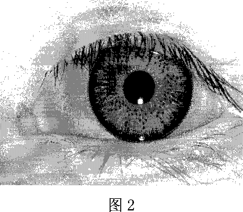 Colorful contact lens false-proof detection method