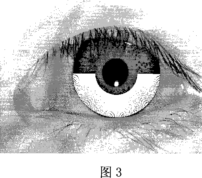 Colorful contact lens false-proof detection method