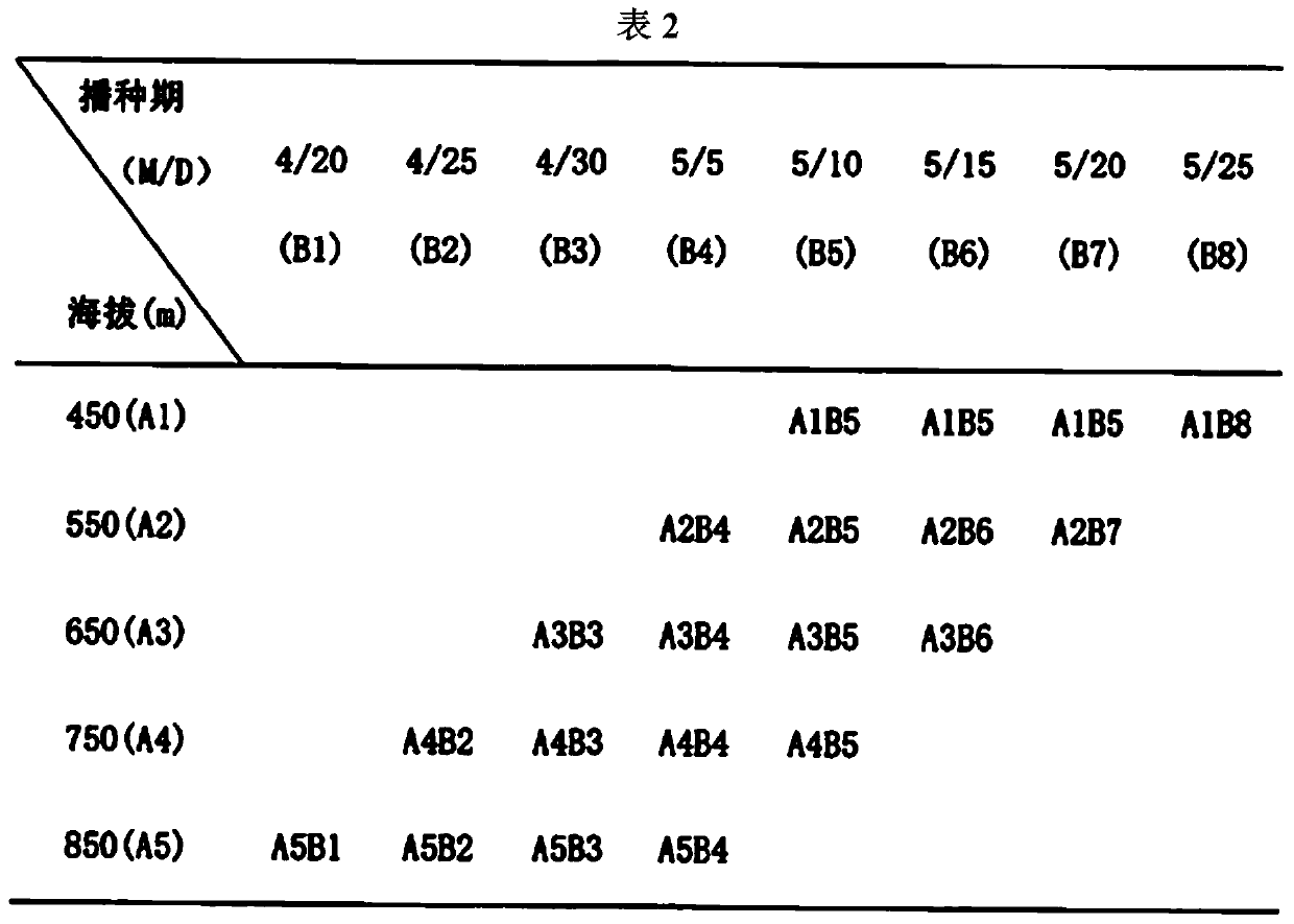 Planting method for ecological fragrant japonica waxy rice