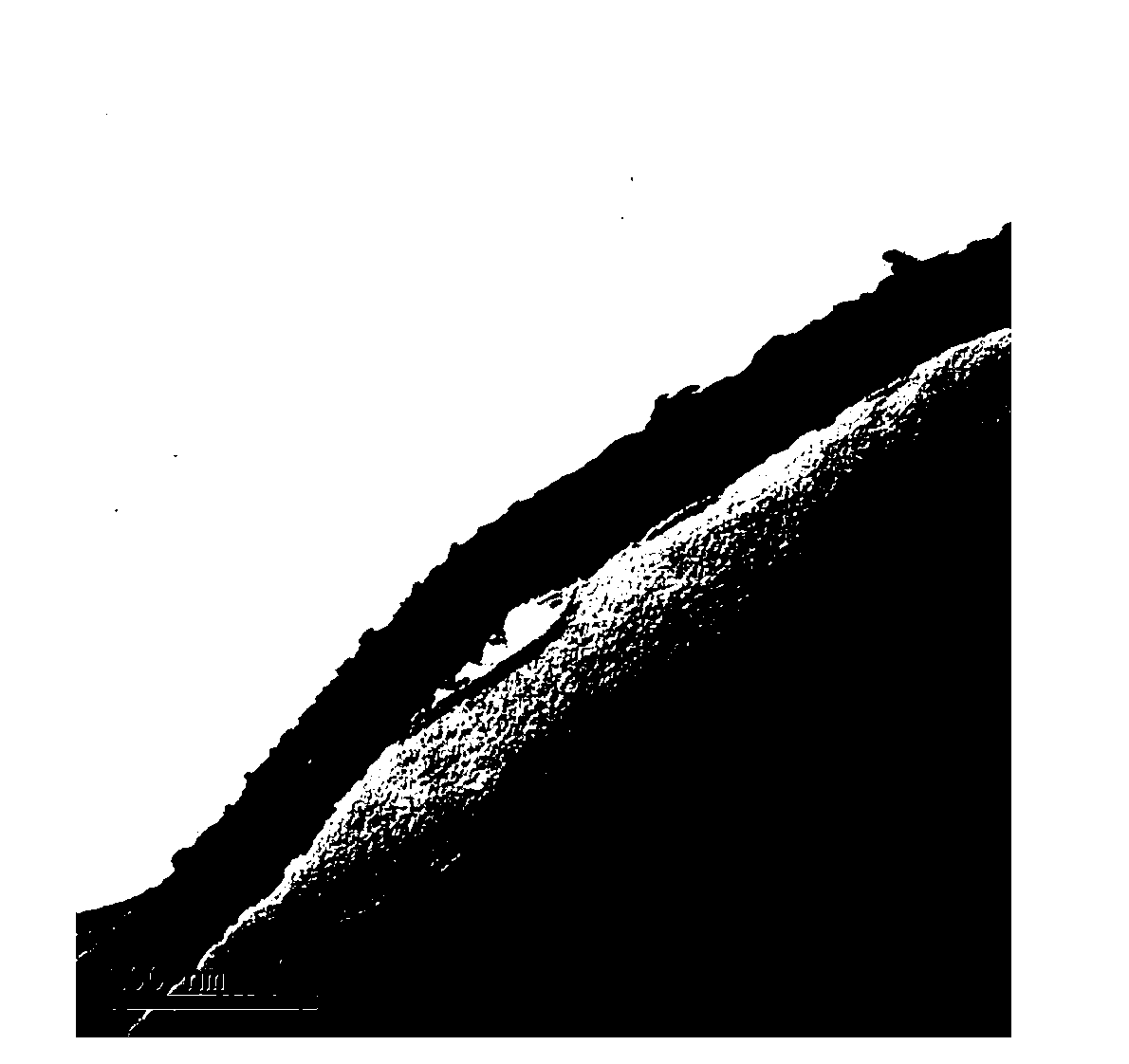 Electrocatalyst for a fuel cell and the method of preparing thereof