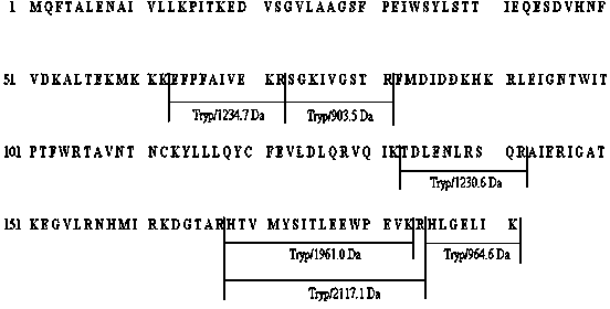 Grifola frondosa mycelium anti-tumor glycoprotein and preparation method