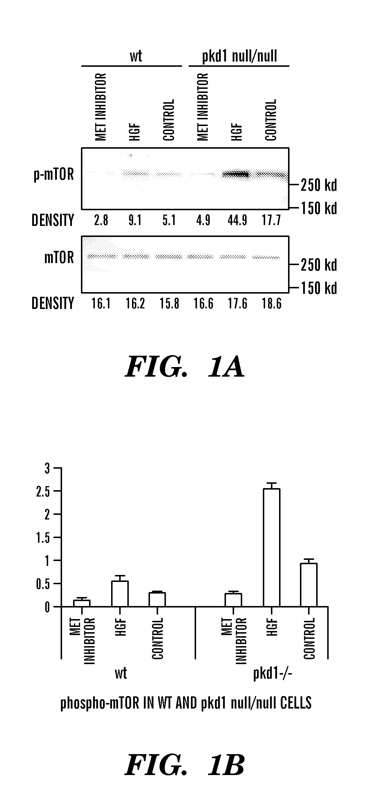 Method of treating polycystic kidney disease