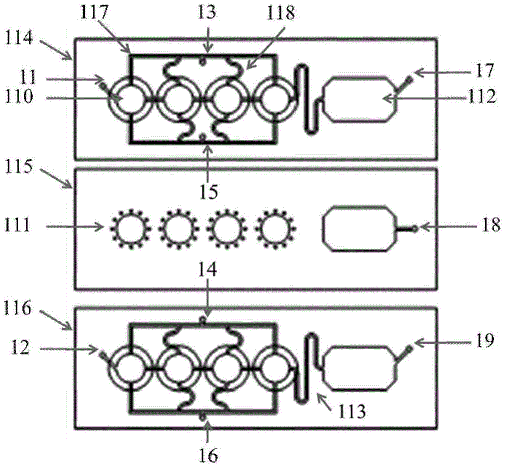 Two-layer cell culture system organ chip and preparation method thereof