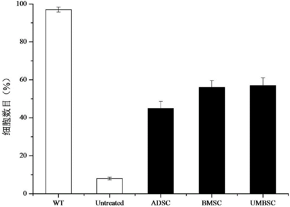 Serum-free stem cell culture medium