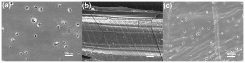 Thick-layer three-dimensional vertical graded multi-channel graphitized active wood source carbon electrode and preparation method thereof